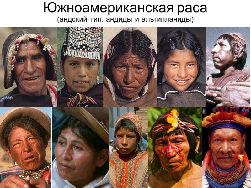 Южноамериканская раса (андский тип: андиды и альтипланиды)